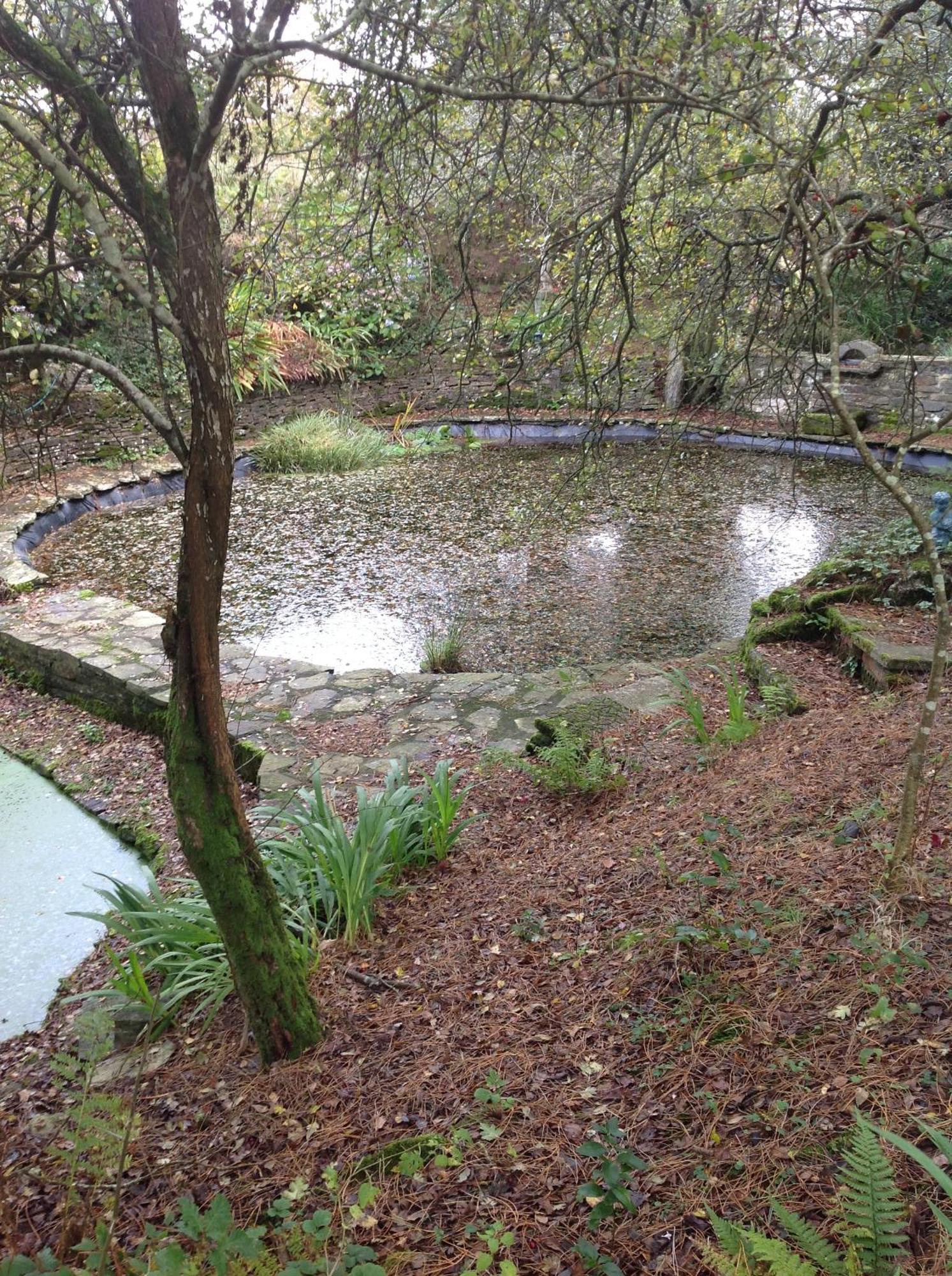 Trevenna Cabin セント・オーステル エクステリア 写真